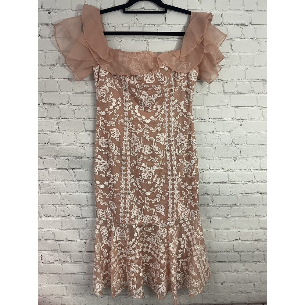 AMUR Embroidered Silk Floral Ruffle Dress in Size 6 Blush Pink Rose White